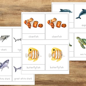 Carte in 3 parti sulla fauna selvatica dell'oceano, Apprendimento per la scuola materna PreK, Risorse didattiche, Attività Montessori, Schede del vocabolario dell'oceano, Flashcard sull'oceano