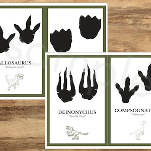 Op de afbeelding: Drie printbare kaarten met dinosaurusvoetafdrukken en silhouetten. De kaarten tonen de namen Allosaurus, Deinonychus en Compsognathus, samen met hun bijnamen "Different Lizard", "Terrible Claw" en "Pretty Jaw".