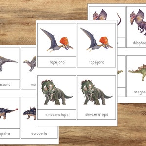 Dinosaurier &#39;3-teilige Karten&#39;, PreK Kindergarten Lernen, Lernressource, Montessori Aktivität, Dinosaurier Vokabelkarten, Dinosaurier Karteikarten