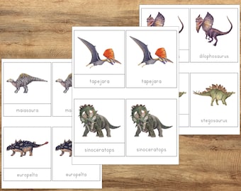 Dinosaur '3-Part Cards', PreK Kindergarten Learning, Learning Resource, Montessori Activity, Dinosaur Vocabulary Cards, Dinosaur Flashcards