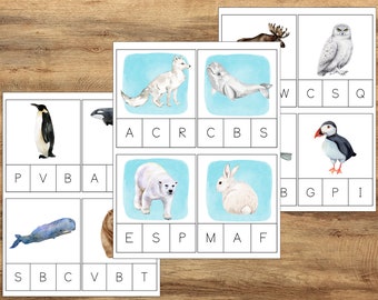 Arctic Wildlife Letter Clip Cards, PreK Kindergarten Learning Resources, Montessori Activity, Arctic Vocabulary Cards, Arctic Flashcards