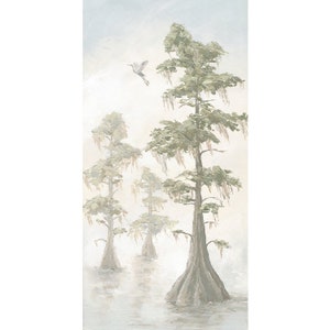 Louisiana Bayou Kunstdruck | Südzypressen-Baum-Landschaft
