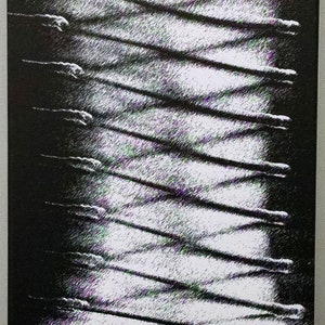 Canvas Print - Bound