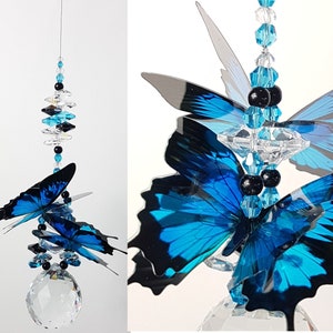Ex Lg Crystal Ball Suncatcher Ulysses Butterfly gift hanging prism suncatchers 