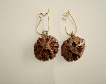 Butternut Nut Earrings: lightweight with gold plated wires