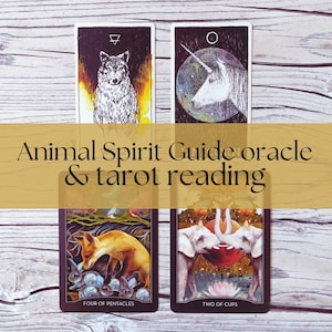 NOVO! Leitura do Guia Espiritual Animal - Leitura do Animal Totêmico - Animal de Poder - Leitura Intuitiva - Leitura de Tarô Espiritual - Sabedoria Animal