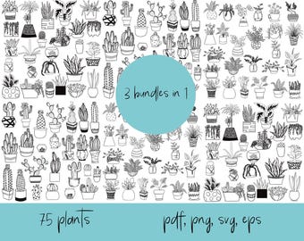 75 Tropical, Cactus, Succulent Houseplant Clipart, Hand Drawn (pdf, png, svg, eps)