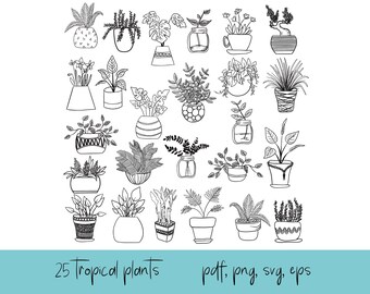 25 Tropical Houseplant Clipart, Hand Drawn (pdf, png, svg, eps)