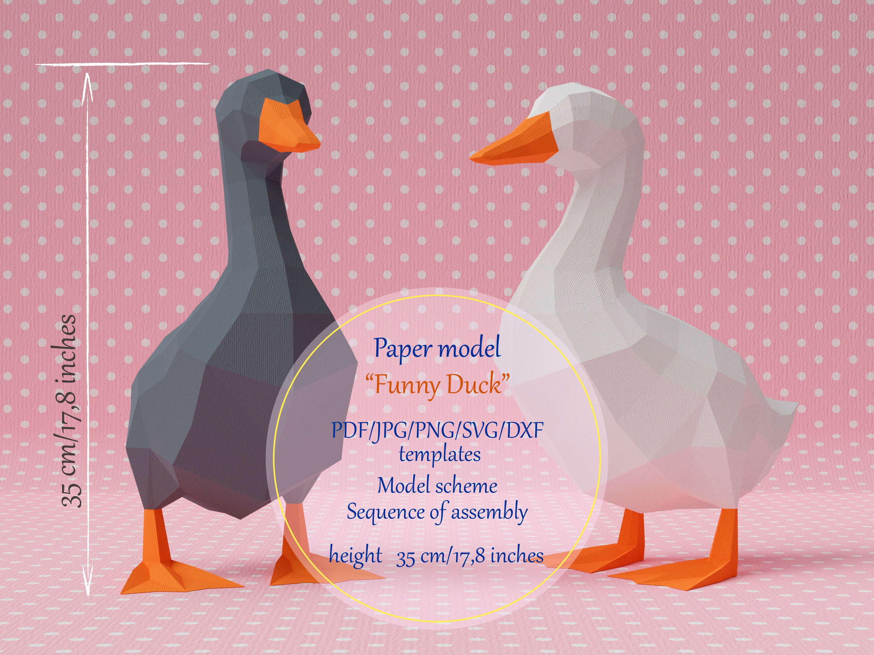 Duck bird essay picture