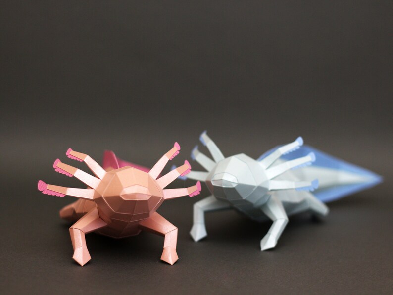 Modelo de papel plantilla PDF axolotl animal papercraft Etsy México