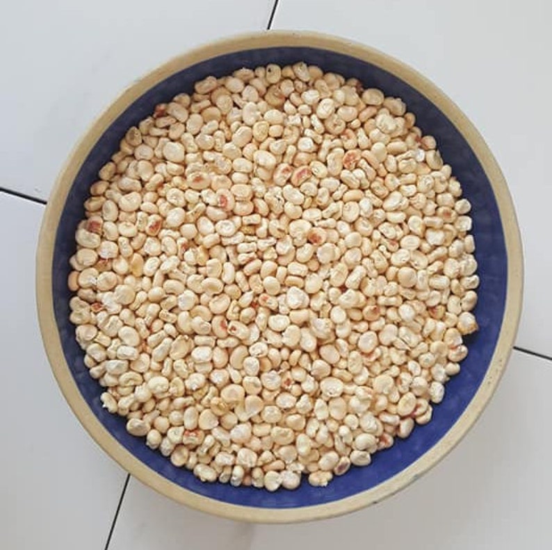 Flour Corn Seeds Indian Corn Seeds Tuscarora White Corn Iroquois White