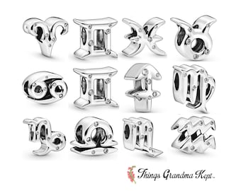 Charms-Gold/Silver/Other