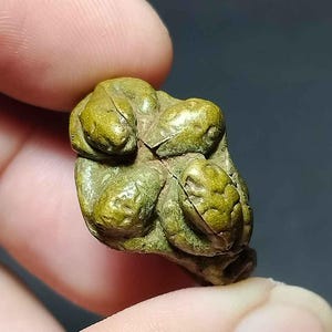 タイのお守りリング、タイの芸術、ナーガ、蛇のリング、一緒に縛られた蛇、幸運、貿易、お守り、恋人、RA250204、お守りアンティーク、送料無料