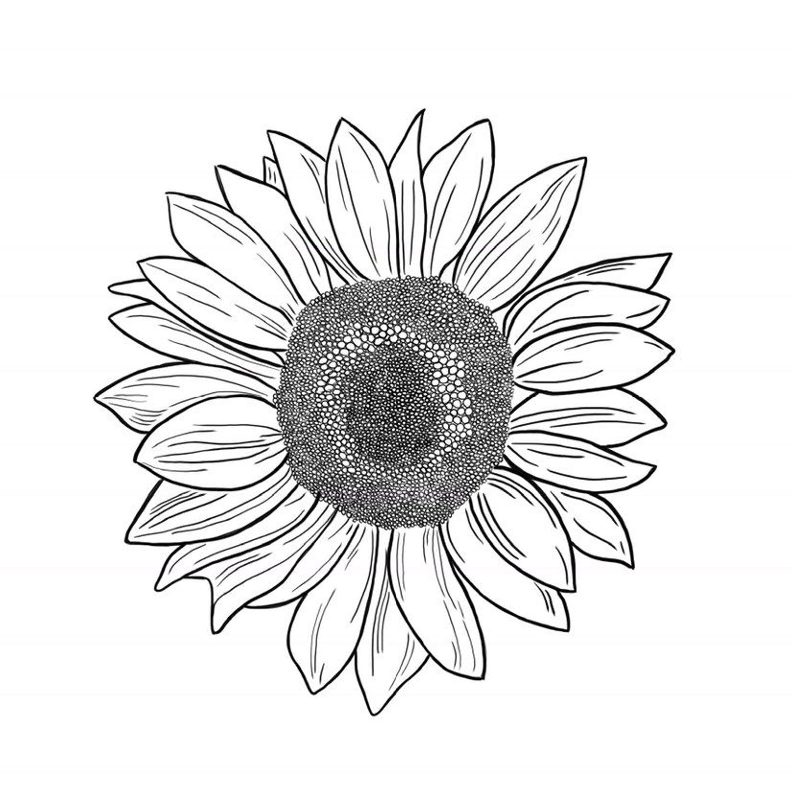 Digital Square Sunflower Illustration | Etsy