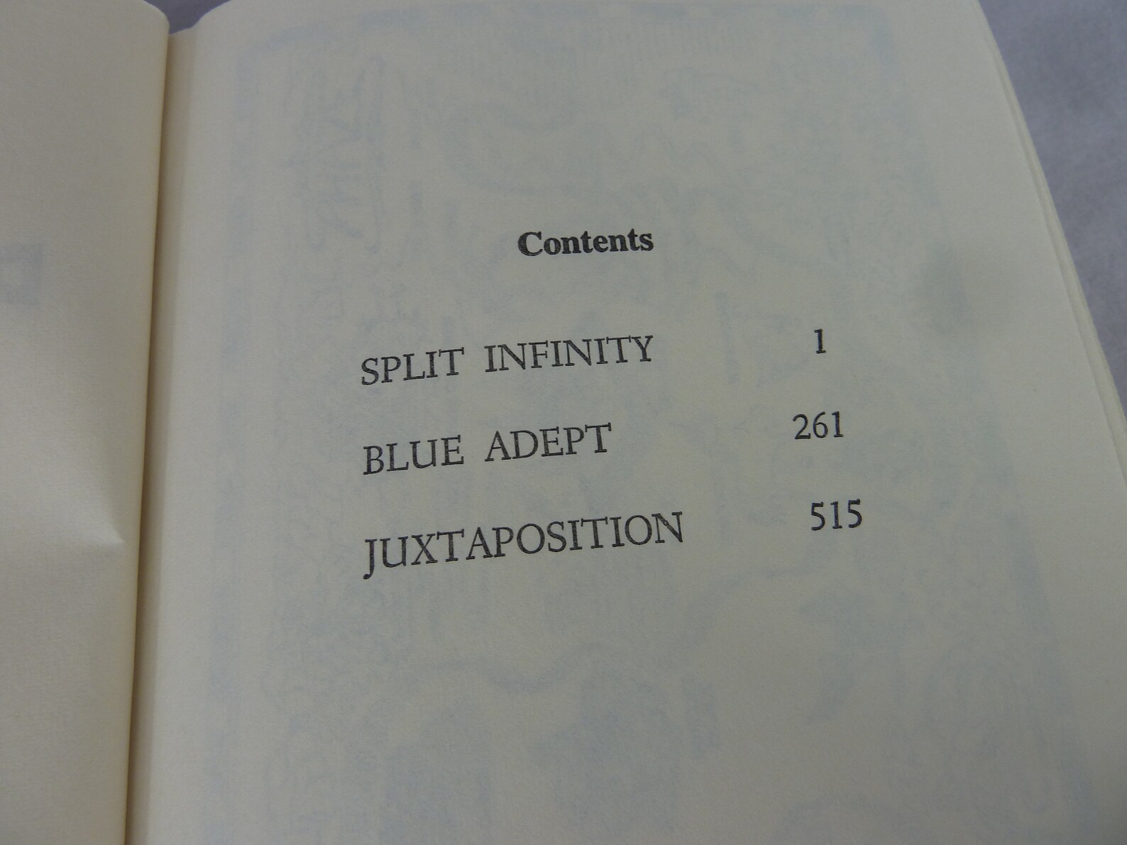 piers anthony split infinity series