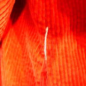 May include: A vibrant orange corduroy fabric featuring a distinct vertical ribbed texture. The material is folded, creating soft shadows and highlights across the surface. A single, thin, light-colored thread is visible against the orange fabric.