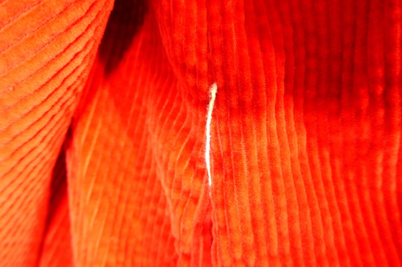 May include: A vibrant orange corduroy fabric featuring a distinct vertical ribbed texture. The material is folded, creating soft shadows and highlights across the surface. A single, thin, light-colored thread is visible against the orange fabric.