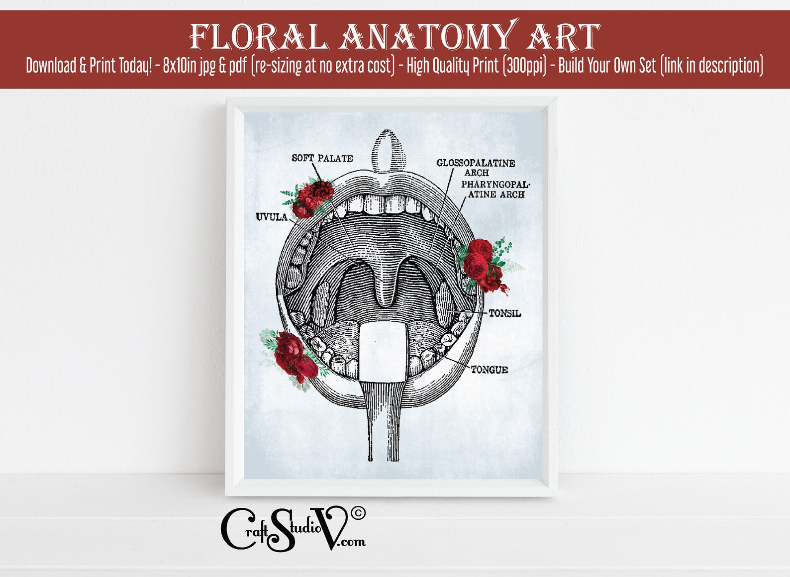 Mouth Anatomy Art Printable Wall Art Anatomy Teeth Tonsils Etsy