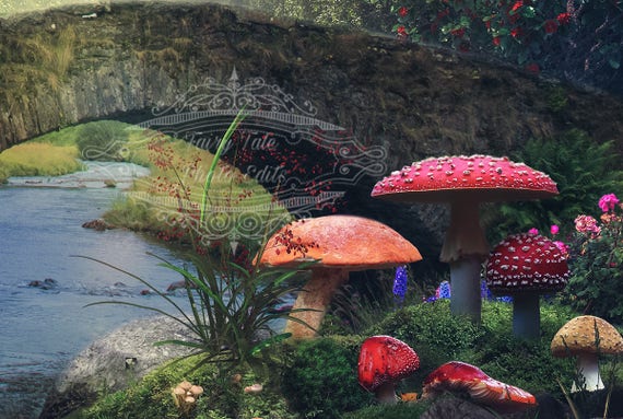 Fairytale Digital Background Fantasy Toadstool Bridge Digital Backdrop Nature Fairytale Digital Background Fantasy Toadstool Bridge Digital Backdrop Nature