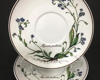 Villeroy &  Boch Saucers, Botanica Saucers, Vintage Floral Saucers, Vitro Porcelain Plates, Myosotis Palustris, Forget Me Not Saucers