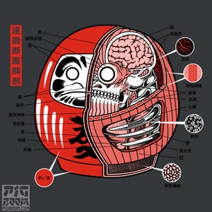 May include: A red and black Japanese lucky charm, or "daruma", is cut open to reveal the internal anatomy of a human head. The illustration includes the brain, skull, blood vessels, muscles, and other organs. The image is labeled in Japanese with the names of the body parts.