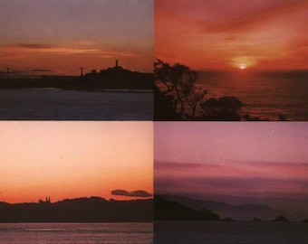 500 Unused Postcards: Route Bears Quad Sunset View Pacific Far East Line