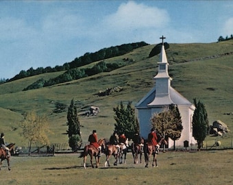 Nicasio CA Mission Church Postcards, Vintage Chrome Lot (900 Unused)