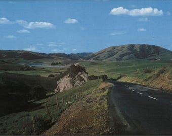 Nicasio, CA Lot of 900: Black Mountain and Nicasio Reservoir, Marin County, Vintage Postcard