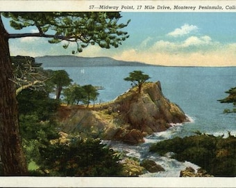 Pebble Beach, CA Lot of 100: Midway Point, 17 Mile Drive, Lone Cypress Vintage Postcard