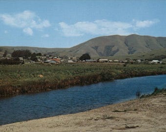 Point Reyes Station, CA Lot of 800 Unused Vintage Postcards: Paper Mill Creek Postcard