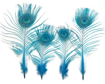 Peacock Feather Pair, Small Eye, Wholesale feathers, earring feathers, hat feathers, feather embellishment, turquoise feather