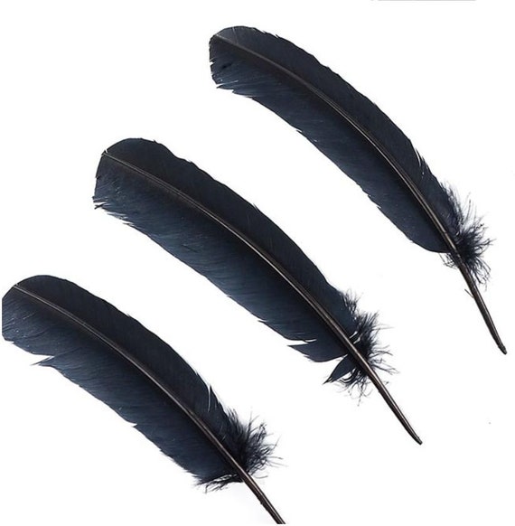 Black Turkey Feathers, Pkg of 4, Black Feathers, Raven Feathers, Crow  Feathers, Magic, Witchcraft 