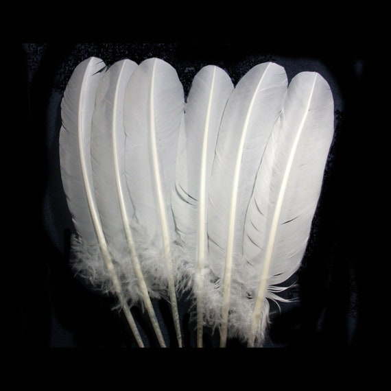 White Turkey Feathers, Pkg of 4, White Feathers, White Big Feathers, White  Quill Feather, Magic, Witchcraft