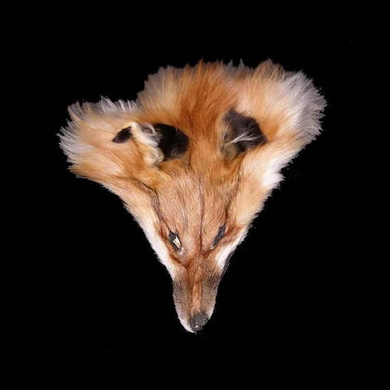 Details about  / Dyed Fox Faces