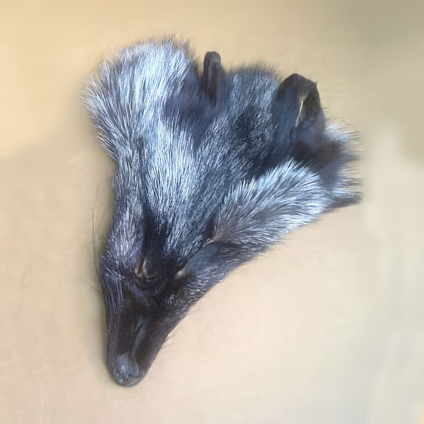 Silver Fox Face, Silver Fox Head, Craft Supplies, Fur Taxidermy, Spirit Mask