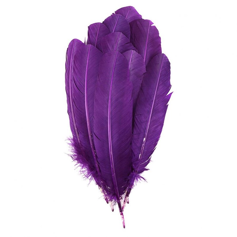 Purple Dyed Turkey Feathers Pkg of 4 Feathers Large Etsy