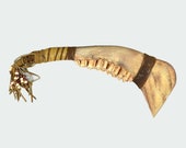 Buffalo Bone War Club, Traditional Native American Tomahawk Wall Hanging, Southwest tribal artifact replica, Rendezvous Mountain Man Gift