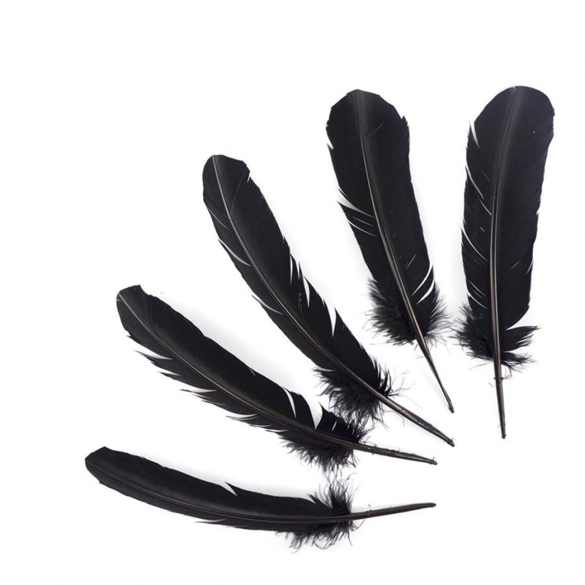 Black Turkey Feathers Pkg of 4 Black Feathers Raven Etsy