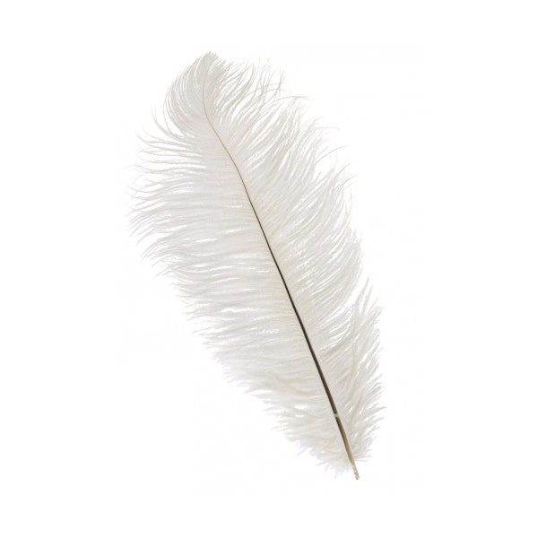 Ostrich plume, hat feathers, headdress feather, plume feathers, white ostrich, white feathers, feather centerpiece, wedding feathers