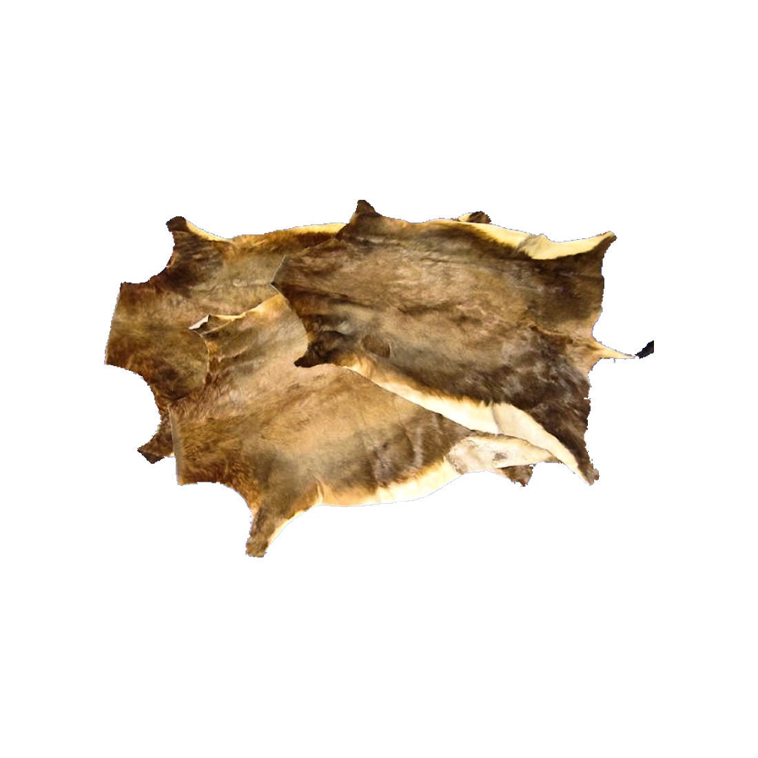 Animal Hides - Etsy Animal Hides - Etsy