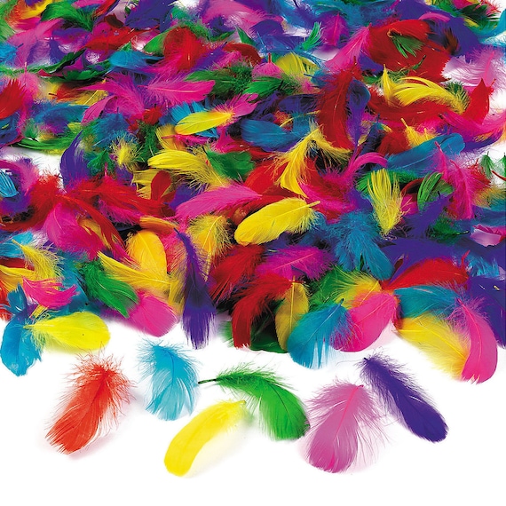 Bulk Feathers Assortment, 600 Brightly colored feathers, Bulk Feathers,  Bridal feathers, Embellishment Hat Feathers, Kids crafts