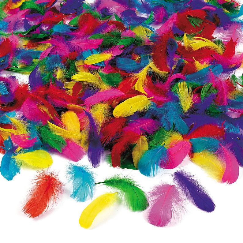 Bulk Feathers Assortment 600 Brightly colored feathers Bulk Etsy