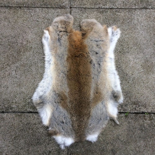White Rabbit Fur Pelt Genuine Rabbit Fur Ethically Sourced Etsy