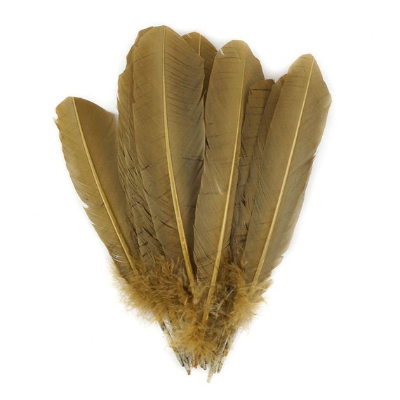 Camel Dyed Turkey Feathers, Pkg of 4, Camel Feathers, Large Feathers,  Colored Feathers 