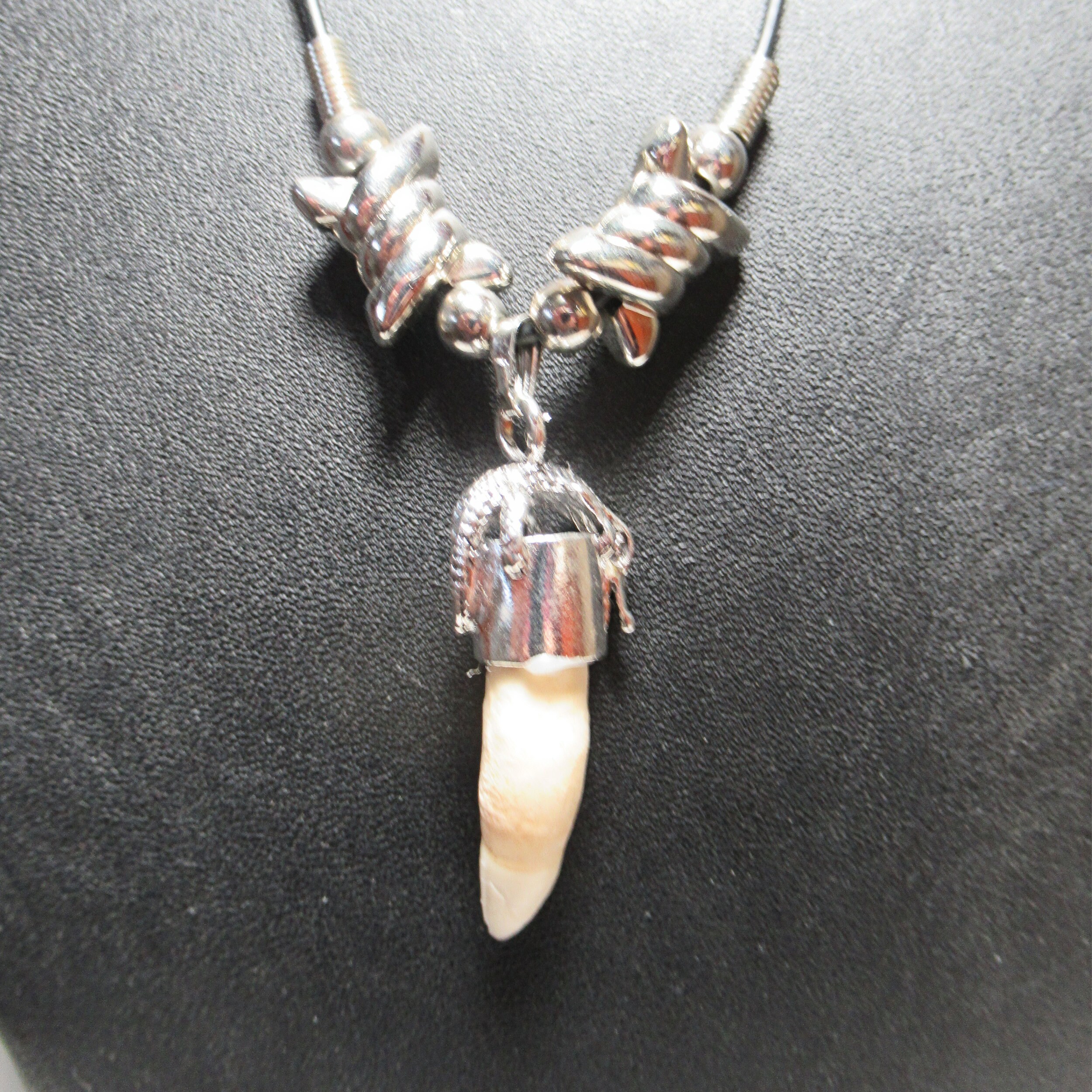 Alligator Tooth Necklace: No Beads