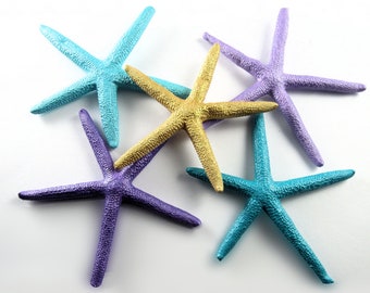 4-6" Dyed Pencil Starfish, Starfish Decor, Preserved dried star fish, Sea Star