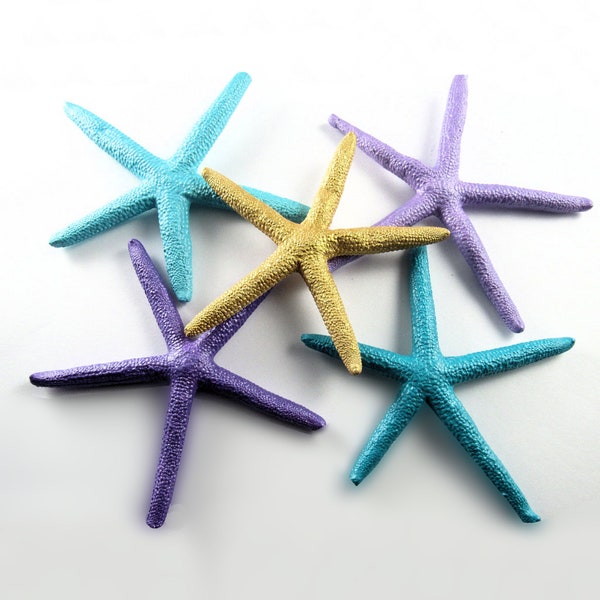 4-6" Dyed Pencil Starfish, Starfish Decor, Preserved dried star fish, Sea Star