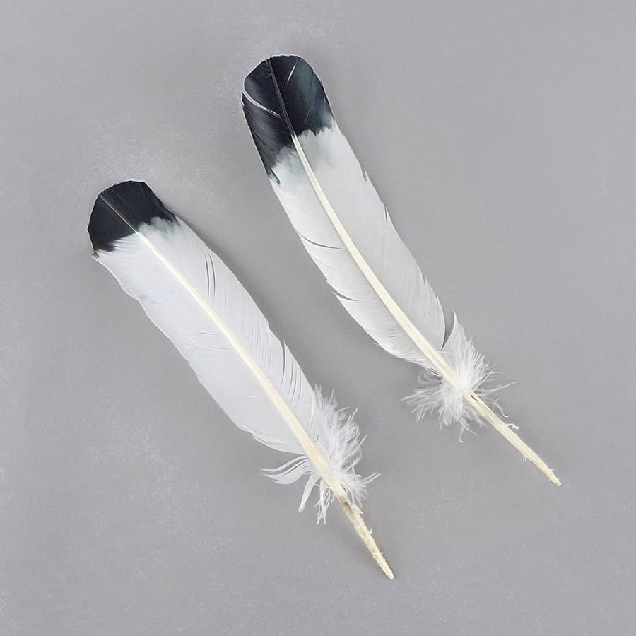 Brown and Black Feathers with White Tips, 5-6 inches, 2 per bag - #4-6