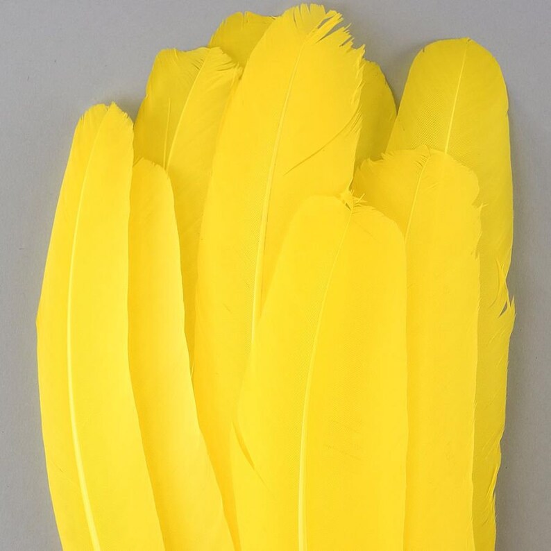 Yellow Dyed Turkey Feathers Pkg of 4 Feathers Large Yellow - Etsy