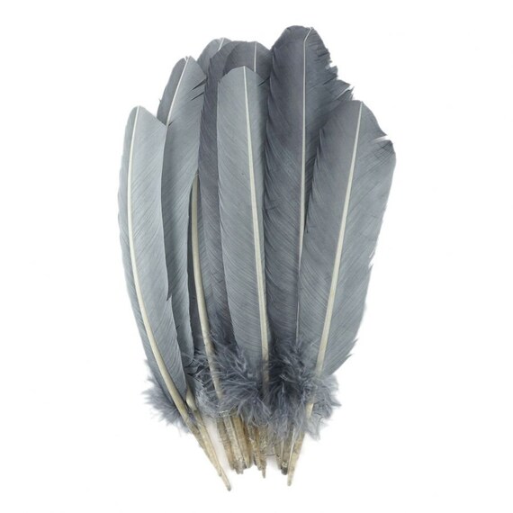 Silver Dyed Turkey Feathers, Pkg of 4 Gray Feathers, Large Feathers,  Colored Feathers, Hat Feather 